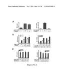 DRG11-RESPONSIVE (DRAGON) GENE AND USES THEREOF diagram and image