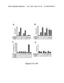 DRG11-RESPONSIVE (DRAGON) GENE AND USES THEREOF diagram and image