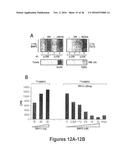 DRG11-RESPONSIVE (DRAGON) GENE AND USES THEREOF diagram and image