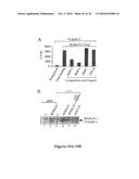 DRG11-RESPONSIVE (DRAGON) GENE AND USES THEREOF diagram and image