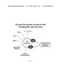 COMPOSITIONS AND METHODS OF TREATING OCULAR DISEASES diagram and image