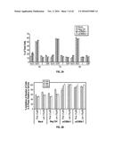 METHODS FOR THE TREATMENT OF CANCER AND INFLAMMATORY DISEASES USING     CEREBLON AS A PREDICTOR diagram and image