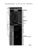 METHODS FOR THE TREATMENT OF CANCER AND INFLAMMATORY DISEASES USING     CEREBLON AS A PREDICTOR diagram and image