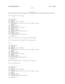 METHODS FOR THE TREATMENT OF CANCER AND INFLAMMATORY DISEASES USING     CEREBLON AS A PREDICTOR diagram and image