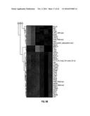 METHODS FOR THE TREATMENT OF CANCER AND INFLAMMATORY DISEASES USING     CEREBLON AS A PREDICTOR diagram and image