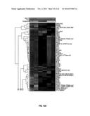 METHODS FOR THE TREATMENT OF CANCER AND INFLAMMATORY DISEASES USING     CEREBLON AS A PREDICTOR diagram and image