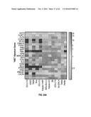 METHODS FOR THE TREATMENT OF CANCER AND INFLAMMATORY DISEASES USING     CEREBLON AS A PREDICTOR diagram and image