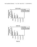 METHODS FOR THE TREATMENT OF CANCER AND INFLAMMATORY DISEASES USING     CEREBLON AS A PREDICTOR diagram and image