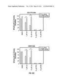 METHODS FOR THE TREATMENT OF CANCER AND INFLAMMATORY DISEASES USING     CEREBLON AS A PREDICTOR diagram and image
