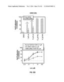 METHODS FOR THE TREATMENT OF CANCER AND INFLAMMATORY DISEASES USING     CEREBLON AS A PREDICTOR diagram and image