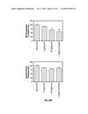 METHODS FOR THE TREATMENT OF CANCER AND INFLAMMATORY DISEASES USING     CEREBLON AS A PREDICTOR diagram and image