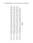 METHODS FOR THE TREATMENT OF CANCER AND INFLAMMATORY DISEASES USING     CEREBLON AS A PREDICTOR diagram and image