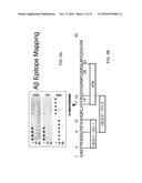 ANTIBODIES SPECIFIC FOR THE PROTOFIBRIL FORM OF BETA-AMYLOID PROTEIN diagram and image