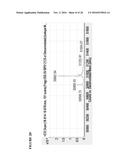 GLYCOENGINEERED BINDING PROTEIN COMPOSITIONS diagram and image