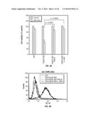 ANTIBODIES TO TUMOR ENDOTHELIAL MARKER 8 diagram and image