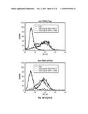 ANTIBODIES TO TUMOR ENDOTHELIAL MARKER 8 diagram and image