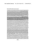 ANTIBODIES TO TUMOR ENDOTHELIAL MARKER 8 diagram and image