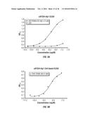 ANTIBODIES TO TUMOR ENDOTHELIAL MARKER 8 diagram and image