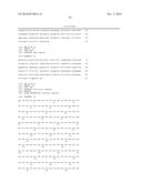 ANTIBODIES TO TUMOR ENDOTHELIAL MARKER 8 diagram and image