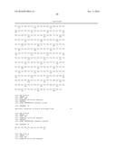 ANTIBODIES TO TUMOR ENDOTHELIAL MARKER 8 diagram and image