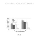 TUMOR SPECIFIC ANTIBODIES AND USES THEREFOR diagram and image