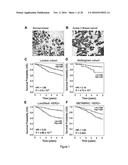 METHODS OF TREATING AND DIAGNOSING ALPHA-V-BETA-6 OVEREXPRESSING CANCER diagram and image