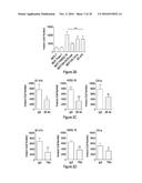 METHODS OF TREATING AND DIAGNOSING ALPHA-V-BETA-6 OVEREXPRESSING CANCER diagram and image