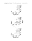 METHODS OF TREATING AND DIAGNOSING ALPHA-V-BETA-6 OVEREXPRESSING CANCER diagram and image