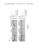 METHODS OF TREATING AND DIAGNOSING ALPHA-V-BETA-6 OVEREXPRESSING CANCER diagram and image