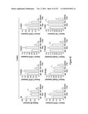 METHODS OF TREATING AND DIAGNOSING ALPHA-V-BETA-6 OVEREXPRESSING CANCER diagram and image