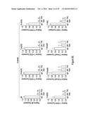 METHODS OF TREATING AND DIAGNOSING ALPHA-V-BETA-6 OVEREXPRESSING CANCER diagram and image