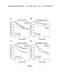 METHODS OF TREATING AND DIAGNOSING ALPHA-V-BETA-6 OVEREXPRESSING CANCER diagram and image