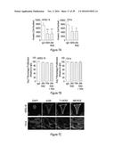 METHODS OF TREATING AND DIAGNOSING ALPHA-V-BETA-6 OVEREXPRESSING CANCER diagram and image