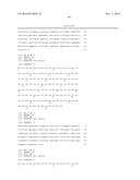 METHODS OF TREATING AND DIAGNOSING ALPHA-V-BETA-6 OVEREXPRESSING CANCER diagram and image