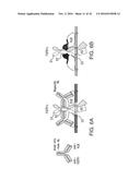 ANTIBODIES AND METHODS OF USE diagram and image