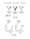 ANTIBODIES AND METHODS OF USE diagram and image