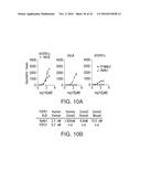 ANTIBODIES AND METHODS OF USE diagram and image