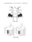 ANTIBODIES AND METHODS OF USE diagram and image