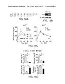 ANTIBODIES AND METHODS OF USE diagram and image