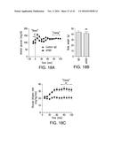 ANTIBODIES AND METHODS OF USE diagram and image