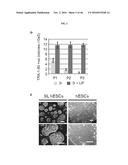 CULTURING PLURIPOTENT STEM CELLS diagram and image