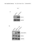 CULTURING PLURIPOTENT STEM CELLS diagram and image