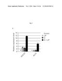 CULTURING PLURIPOTENT STEM CELLS diagram and image