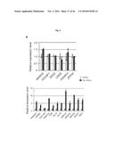 CULTURING PLURIPOTENT STEM CELLS diagram and image