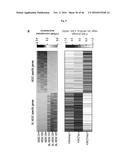 CULTURING PLURIPOTENT STEM CELLS diagram and image