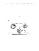 CULTURING PLURIPOTENT STEM CELLS diagram and image