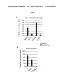 CULTURING PLURIPOTENT STEM CELLS diagram and image