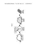 GENE EDITING IN THE OOCYTE BY CAS9 NUCLEASES diagram and image