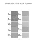 COMPOSITIONS AND METHODS FOR TREATING RETINAL DISEASES diagram and image