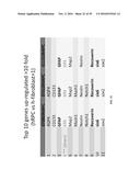 COMPOSITIONS AND METHODS FOR TREATING RETINAL DISEASES diagram and image